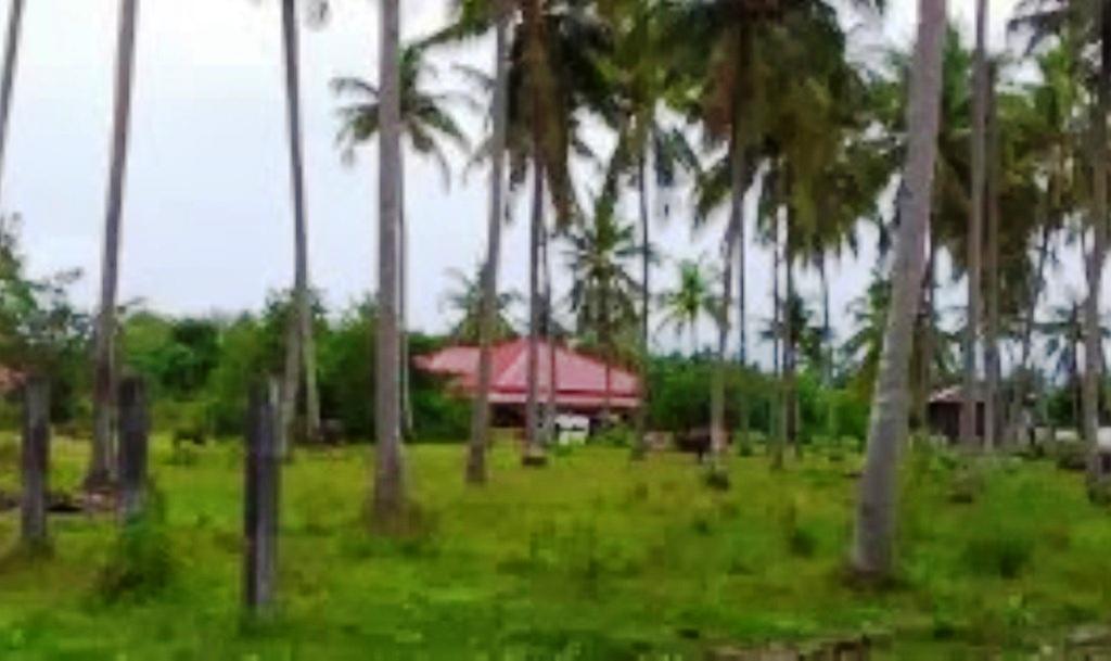 เดอะ วิลเลจ ลังกาวี Villa ปันไตเจอนัง ภายนอก รูปภาพ